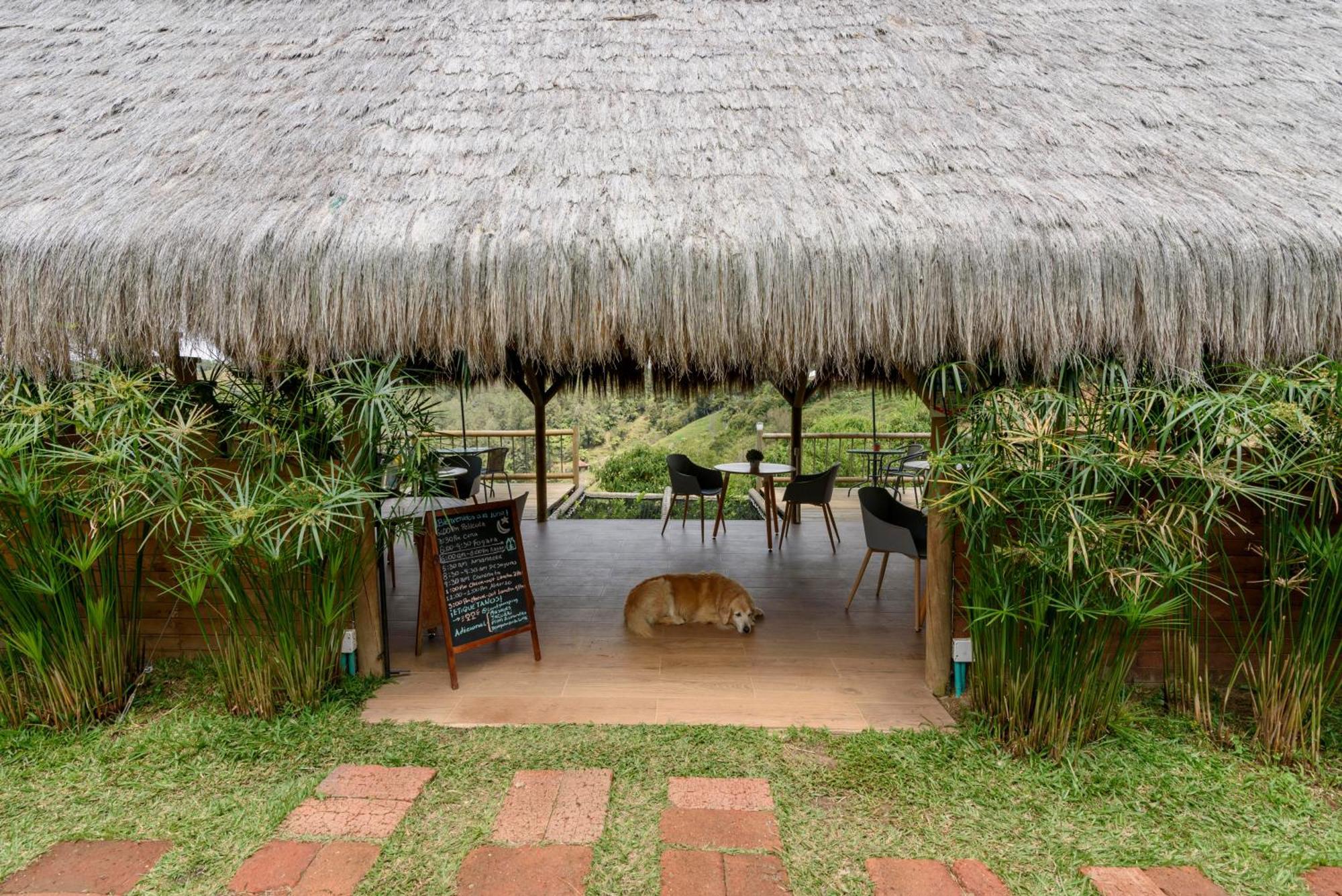Levit Glamping - Hotel Guatapé ADULTS ONLY Esterno foto